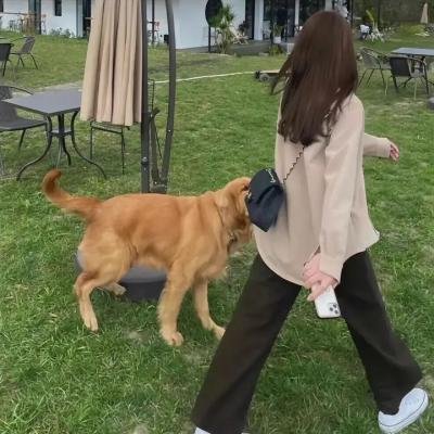 如果风知道